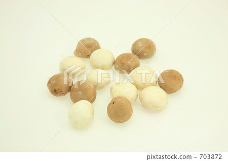 羊肚菌 蘑菇 鳥瞰 703872