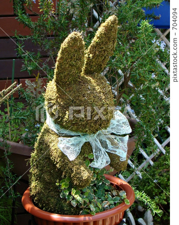 Usagi的修剪 704094