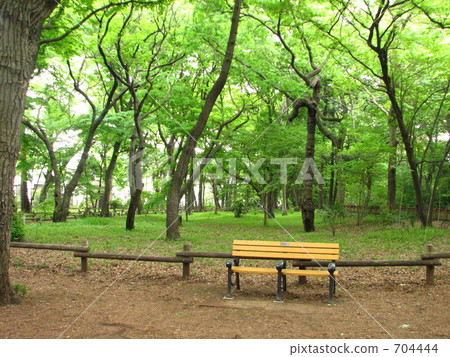 Inogashira公園的雜項森林 704444