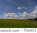 rural scene, rural landscape, grassland 704451