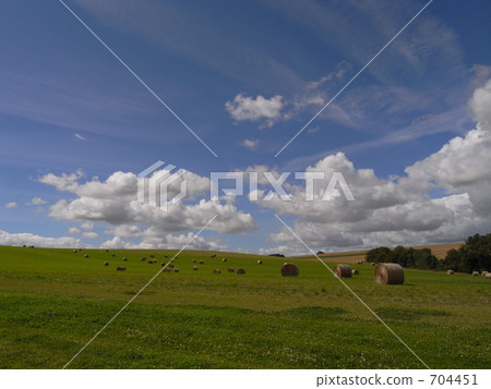 農村場景 鄉村風光 草地 704451