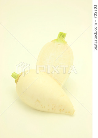 蔬菜 蘿蔔 白色 705203
