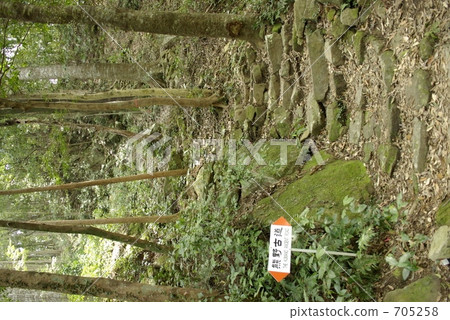 Kumano Kodo-kaido入口 705258