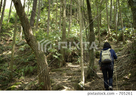 沿著熊野科多路漫步 705261