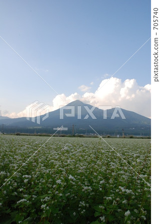 Aizu Bandai Mountain and Buckwheat field Aizu Bandai Mountain and Buckwheat field 705740