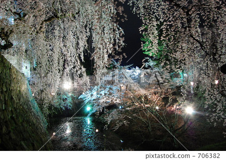 Hirosaki Castle (Night cherry tree) 706382
