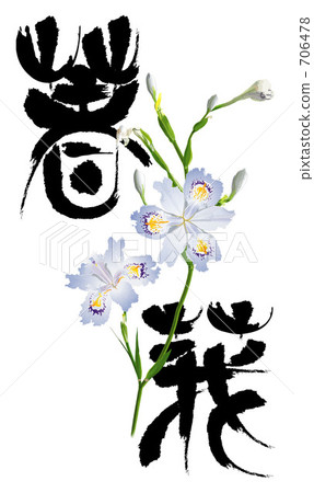 Shaga and brush text illustration 706478