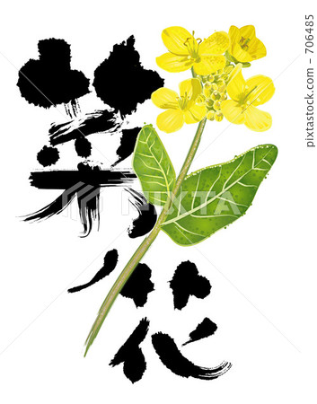 納米花和刷子字符例證 706485