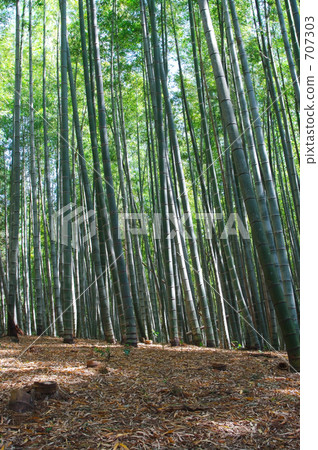 A pleasant space A pleasant space 707303