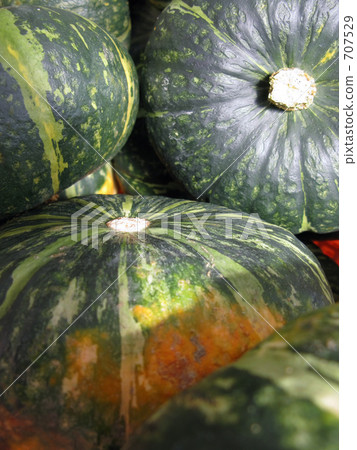 Pumpkin Pumpkin 707529
