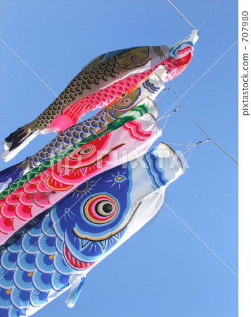 Carp streamer Carp streamer 707980