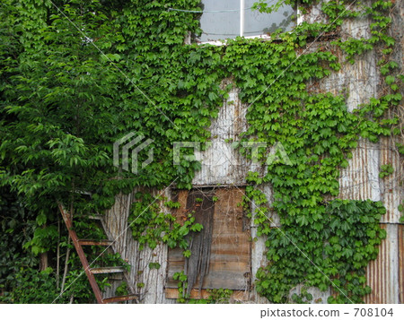 Window of abandoned house 708104
