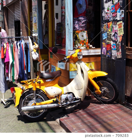 Yellow turnip 709283