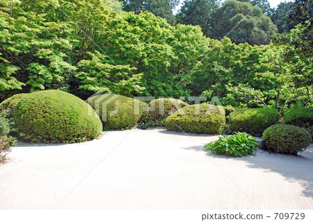 從詩人的姐妹中看到的花園 從詩人的姐妹中看到的花園 709729