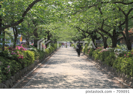 Promenade Promenade 709891