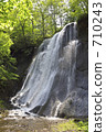 Waterfall of the fresh green tree 710243