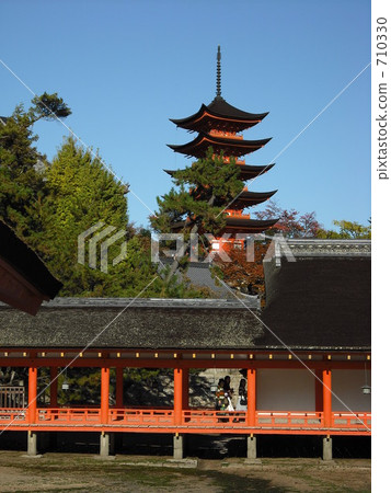 嚴島神社 世界遺產 山林 710330