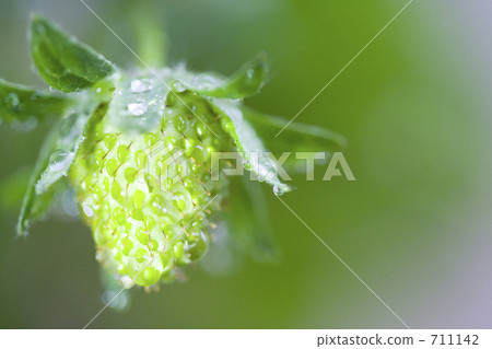藍色草莓和水下落 711142