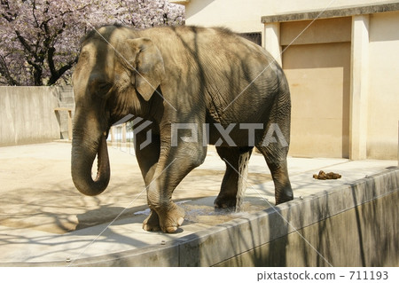 有點不禮貌！ 711193