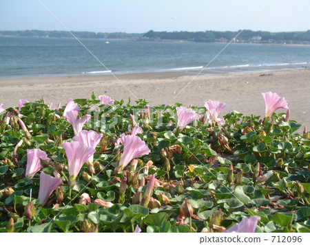 哈馬精心製作 712096