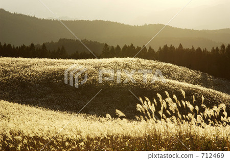 The Susuki of the Sone Plateau The Susuki of the Sone Plateau 712469
