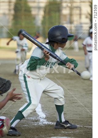 Juvenile baseball 712509