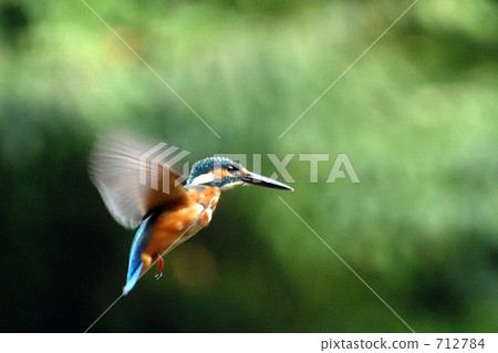 Kingfisher Hover Ring Kingfisher Hover Ring 712784