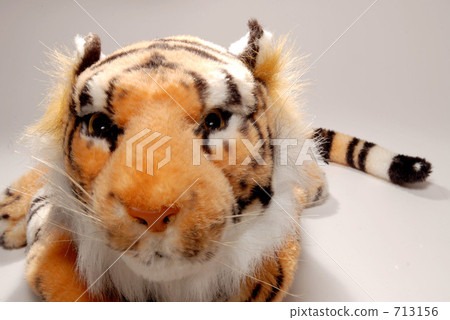 tiger, tigers, cuddly toy 713156