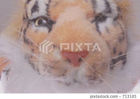 tiger, tigers, cuddly toy 713185