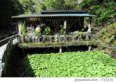 Izu Kawazu的Jinnon Falls旅遊芥末和商店在Clearstream 713216