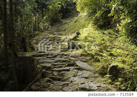Kumano Kodo Road Hakkin-ya Yoshinaga Turn 713584