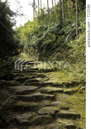 Kumano Kodo Road Hakkin-ya Yoshinaga Turn 713586