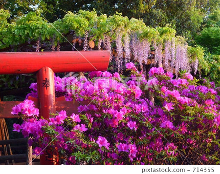 春天盛開 春天盛開 714355