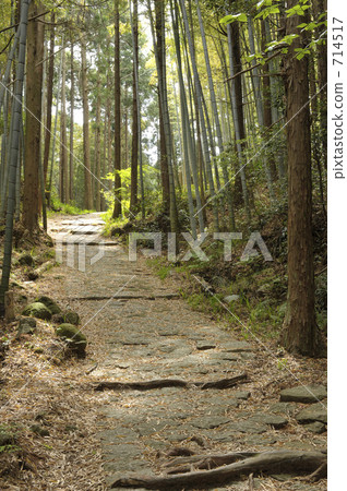 Kumano Kodo路到松本通道 714517