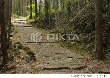 Kumano Kodo Road to Matsumoto Pass Kumano Kodo Road to Matsumoto Pass 714519
