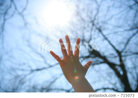A woman stretching his wedding ringed left hand toward the blue sky 715073