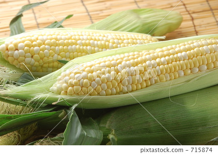 玉米 715874