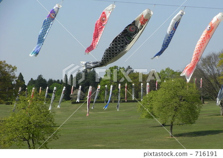 Dancing in the sky Dancing in the sky 716191