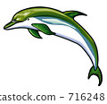 Animal illustrations dolphins 716248
