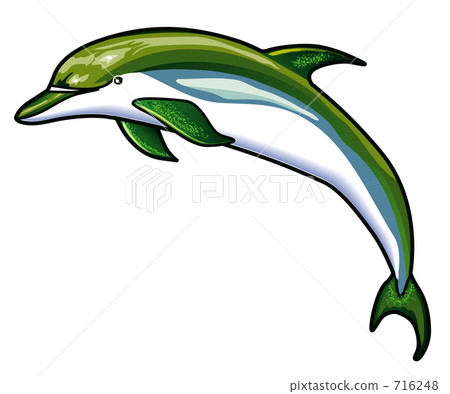 Animal illustrations dolphins 716248