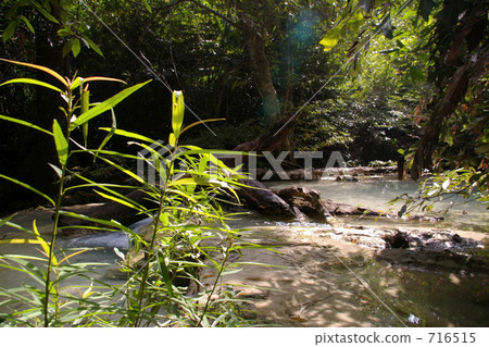 山間溪流和浮木 716515