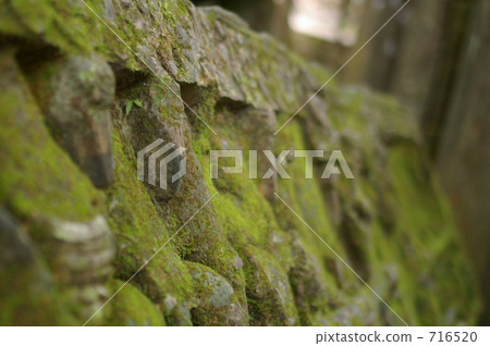 長滿青苔的岩石 716520