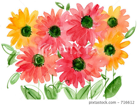 鮮豔的花朵。 716612