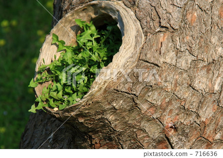 一代變化? 一代變化? 716636