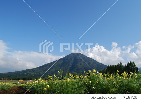 Ikoma Highland Mountains and Flowers 716729