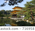 松樹和金閣 716958