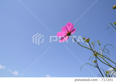 挑戰 挑戰 717291