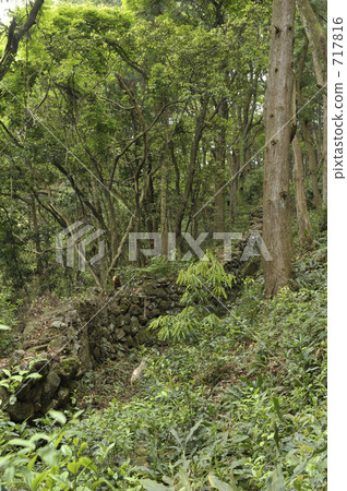 Kumano Kodo Inubaki Kumano Kodo Inubaki 717816