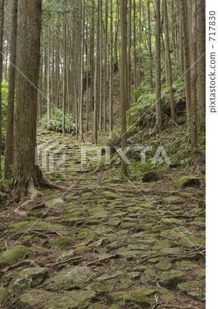 Kumano Kodo Joji Sone Sakutarozaka 717830