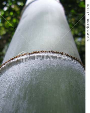 Aochi Kazumoto straight 718426